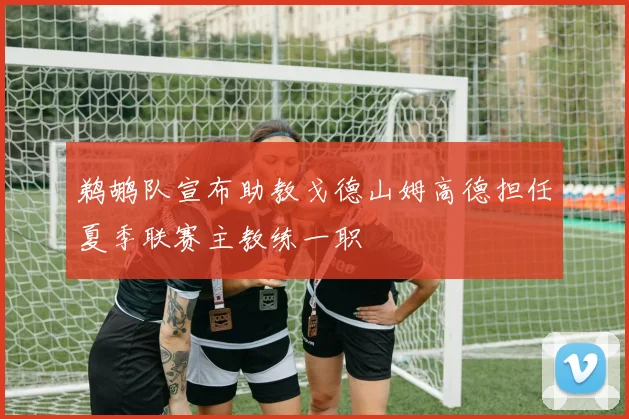 鹈鹕队宣布助教戈德山姆高德担任夏季联赛主教练一职