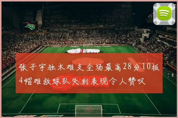 张子宇独木难支全场最高28分10板4帽难救球队失利表现令人赞叹