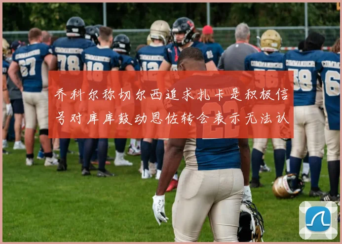 乔科尔称切尔西追求扎卡是积极信号对库库鼓动恩佐转会表示无法认同