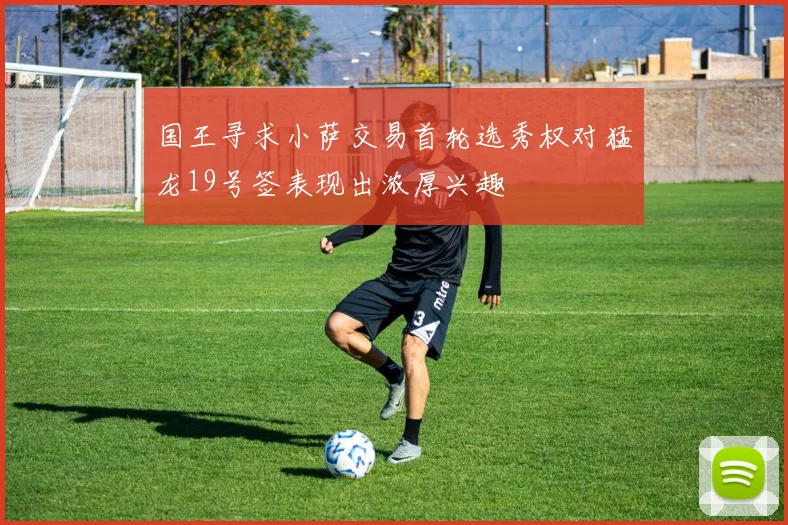 国王寻求小萨交易首轮选秀权对猛龙19号签表现出浓厚兴趣